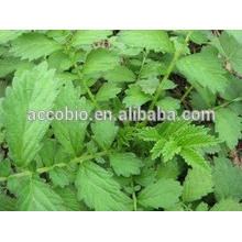 100% Natural High quality Agrimony P.E. powder/4:1 10:1,20:1